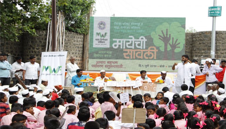 Tree Plantation